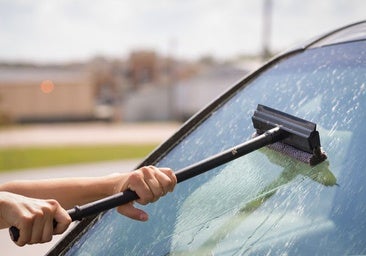 Los mejores trucos para eliminar los mosquitos pegados al coche