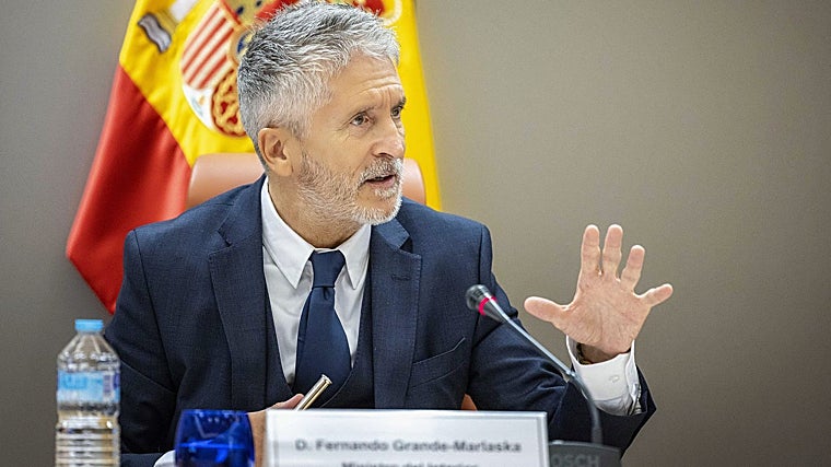 Fernando Grande-Marlaska, ministro de Interior
