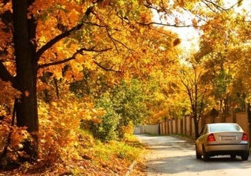 Cómo evitar las averías de coche más frecuentes en otoño