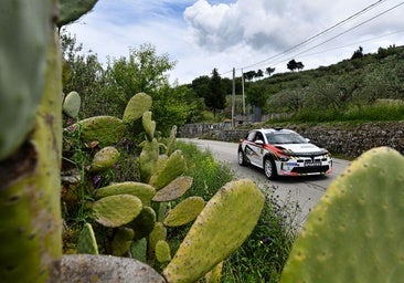Una leyenda renace en Palermo: el Trofeo Lancia Cup ilumina el Rally Targa Florio