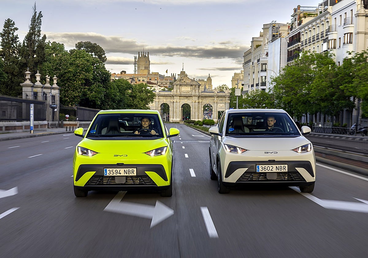 Nuevo BYD DOLPHIN SURF