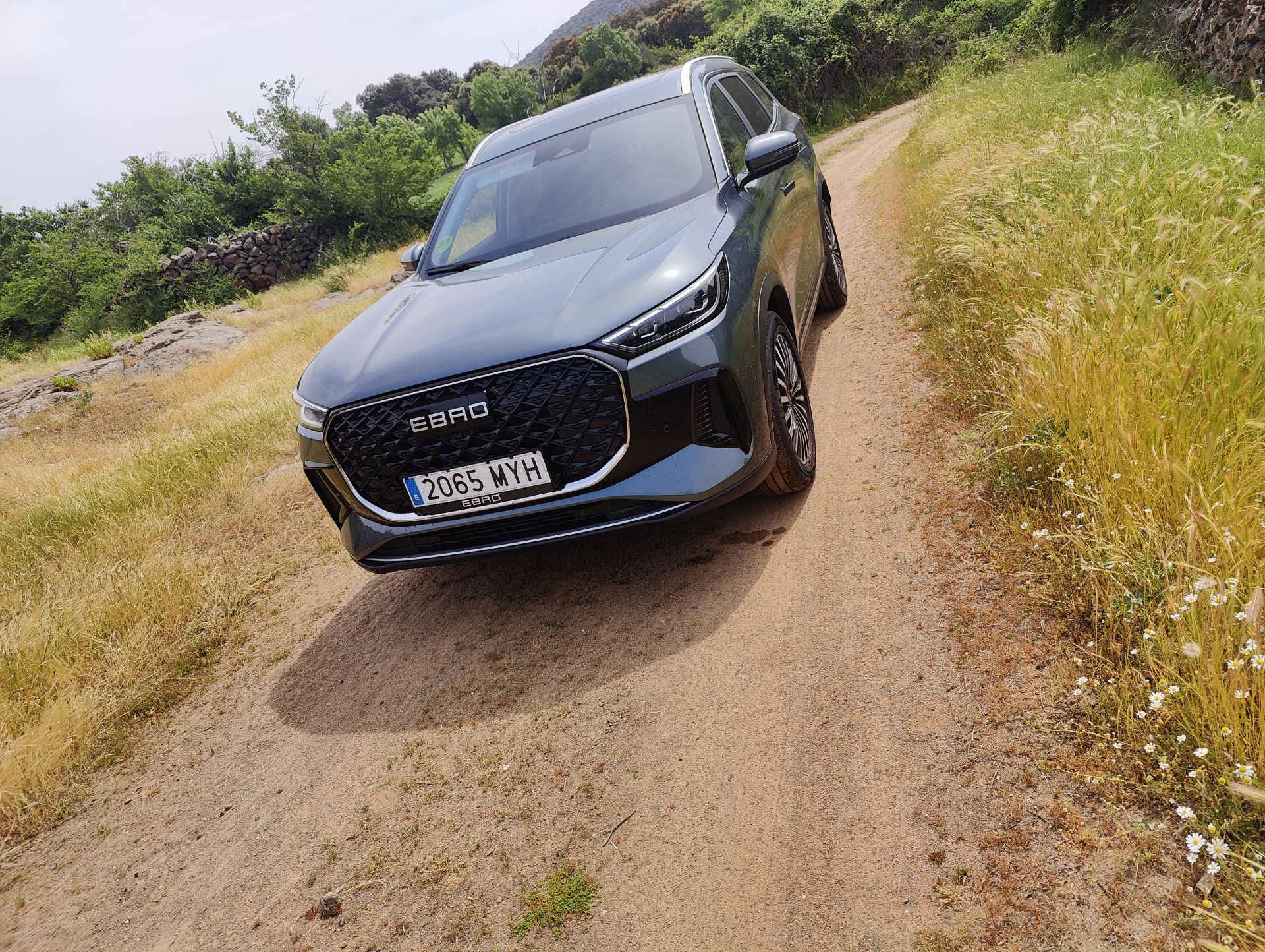 El Ebro S800 busca conquistar el segmento de los SUV grandes con líneas pensadas para la practicidad.