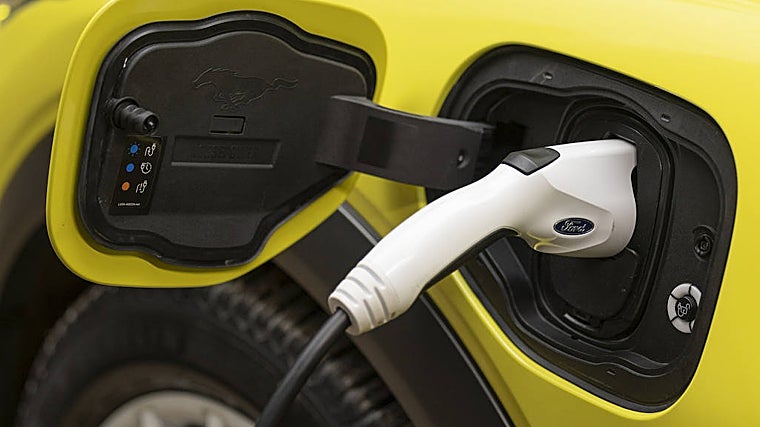 Mustang Mach-E Rally