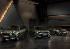 Gama Cupra Tribe