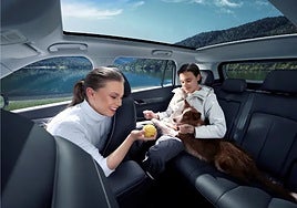 Adiós a los malos olores y bacterias: el Jaecoo 5 redefine el concepto de coche 'pet-friendly'