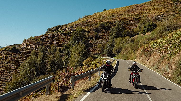 Entrevista Carlos T. López Panisello