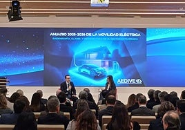 Se retrasan las ayudas del Plan Auto+, que no llegarán antes de junio