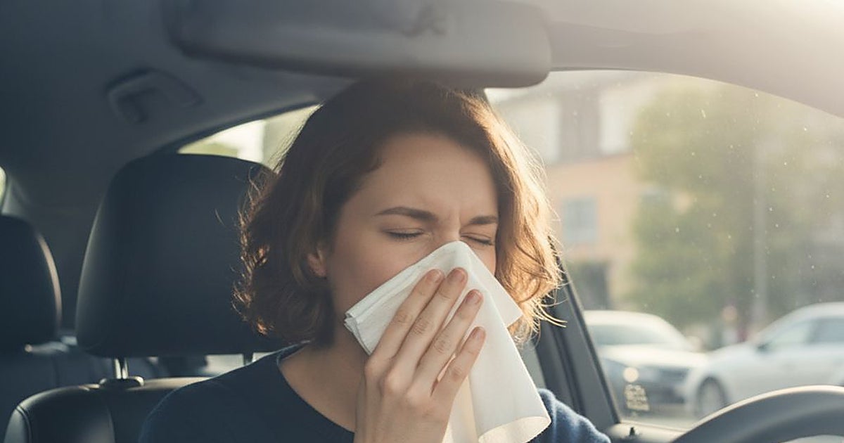 Comienzan las alergias: Vigila estos puntos a la hora de coger el coche