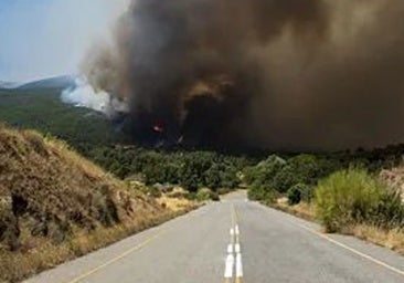 El peligro que no avisa en la carretera: ¿qué hacer si te cruzas con un incendio forestal?