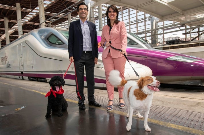 Los perros de más de diez kilos podrán (por fin) viajar en tren