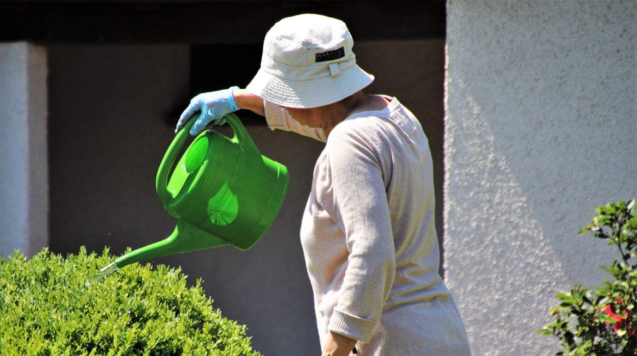 El truco para regar las plantas cuando te vas de vacaciones que triunfa en TikTok