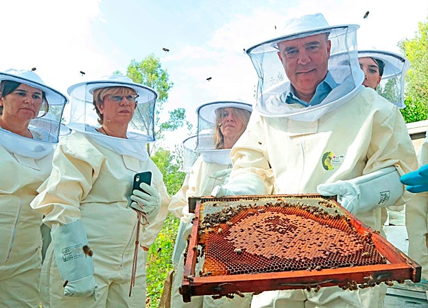 La asociación El Rincón de la Abeja y LG se unen para recuperar la población de abeja ibérica
