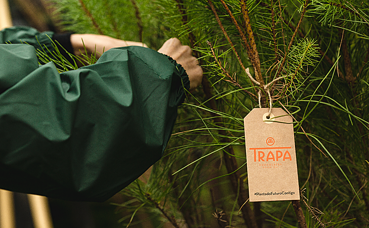 Plantando futuro contigo: Atrapando el CO2