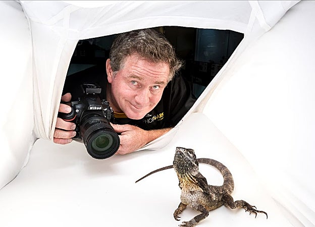 Joel Sartore fotografiando un lagarto de cuello con volantes