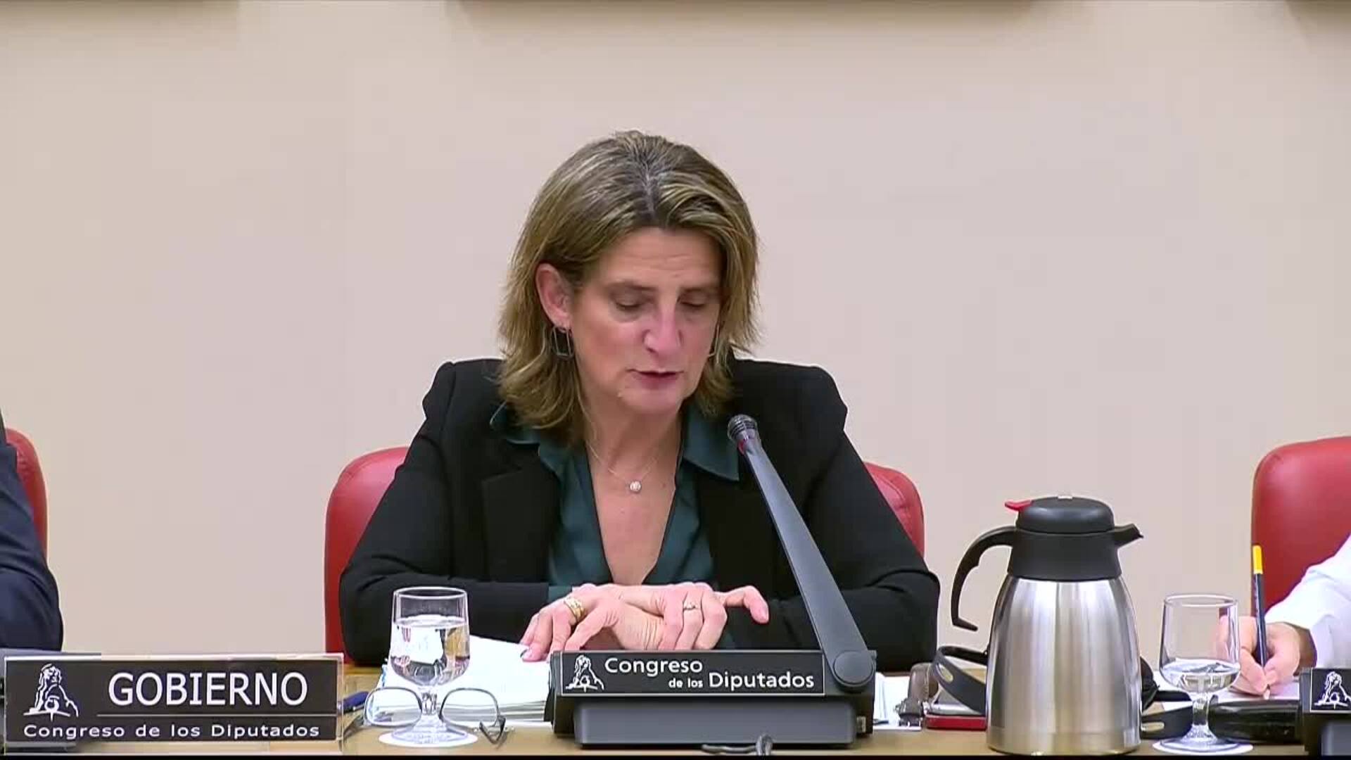 Ribera dice que se recuperará la CNE y habrá una nueva estrategia de pobreza energética