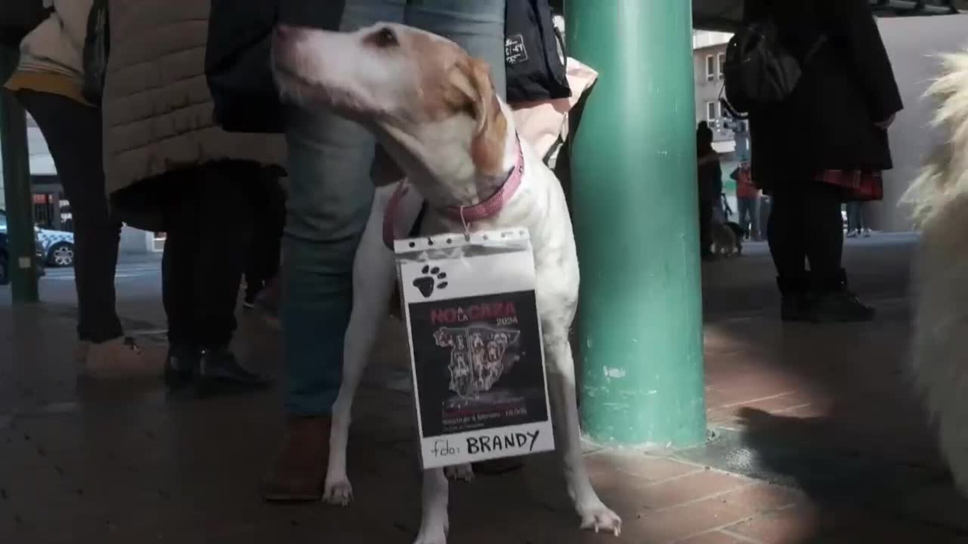 Trescientas personas se manifiestan en Castilla y León contra la caza