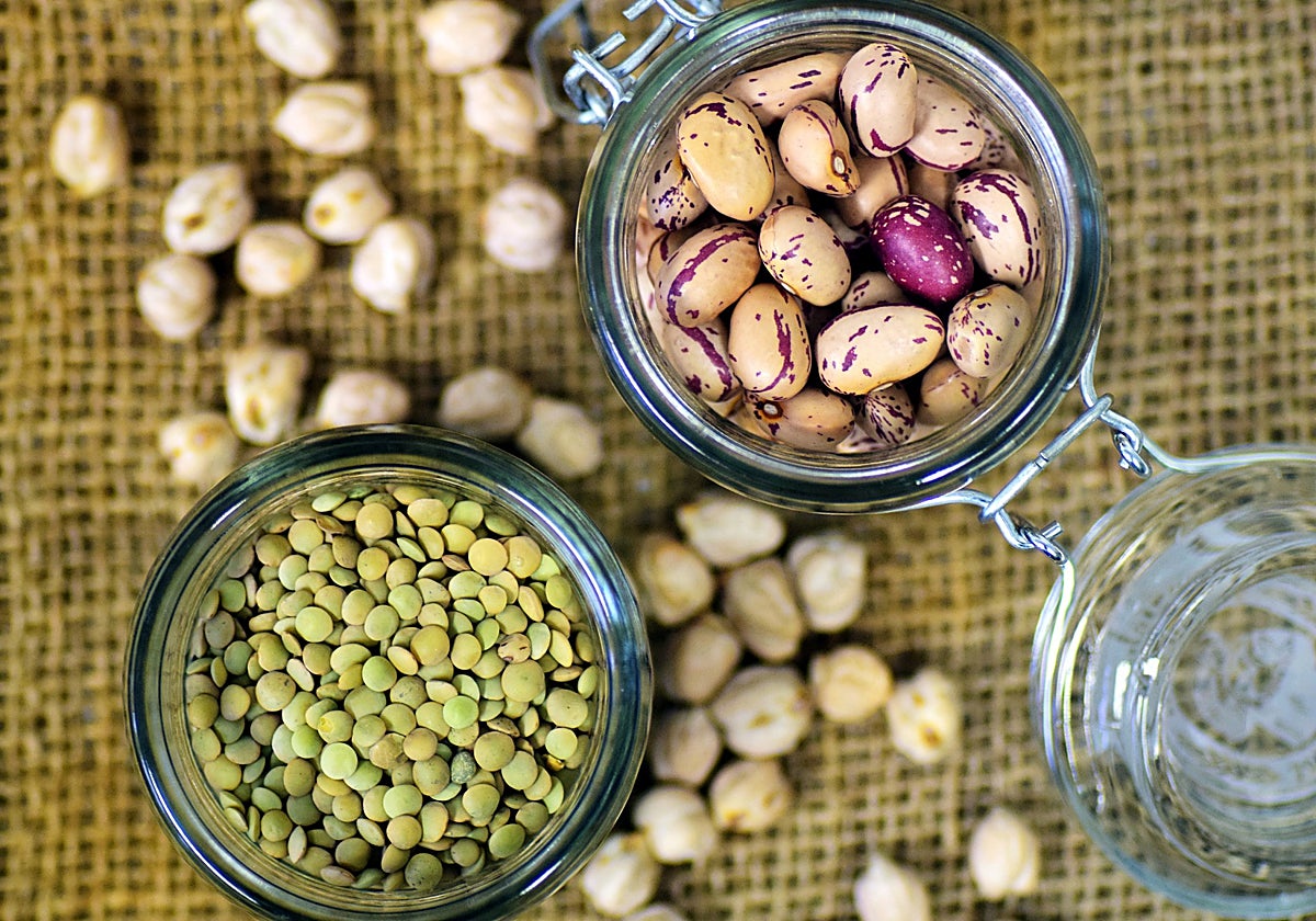 Han desarrollado proteínas alternativas de origen vegetal saludables y accesibles