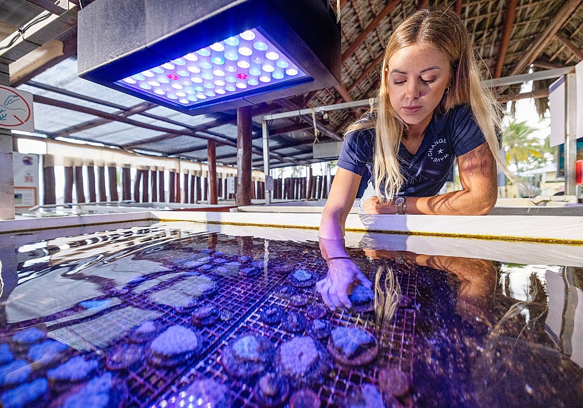 La científica Macarena Blanco, la madrileña que susurra a los corales
