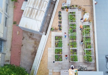 Biorresiduos para impulsar la agricultura urbana