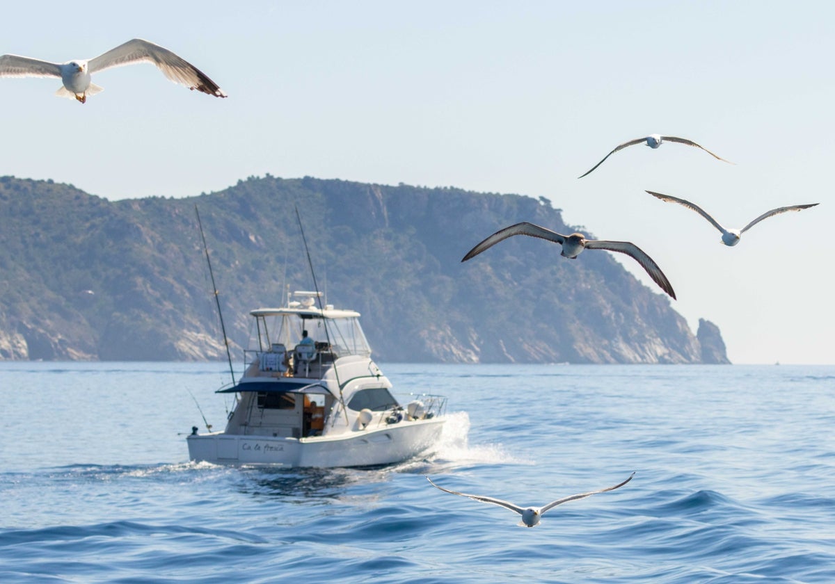 Maraves promueve el trabajo colaborativo con pescadores profesionales que recogen información sobre capturas accidentales