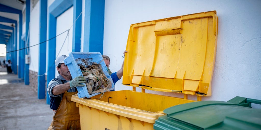 Pleamar: más de una treintena de puertos transforman basura marina en materiales reciclados