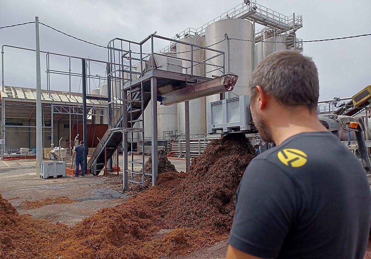 El proyecto NEWFEED ha desarrollado y validado ingredientes locales para la alimentación de rumiantes y aves de corral