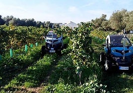 Un vehículo eléctrico comercial automatizado para monitorización de cultivos