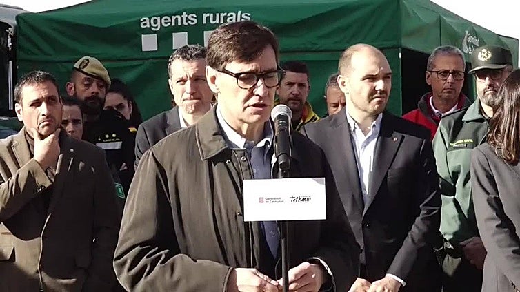 Cataluña amplía la investigación sobre el origen de la peste porcina africana a cinco centros