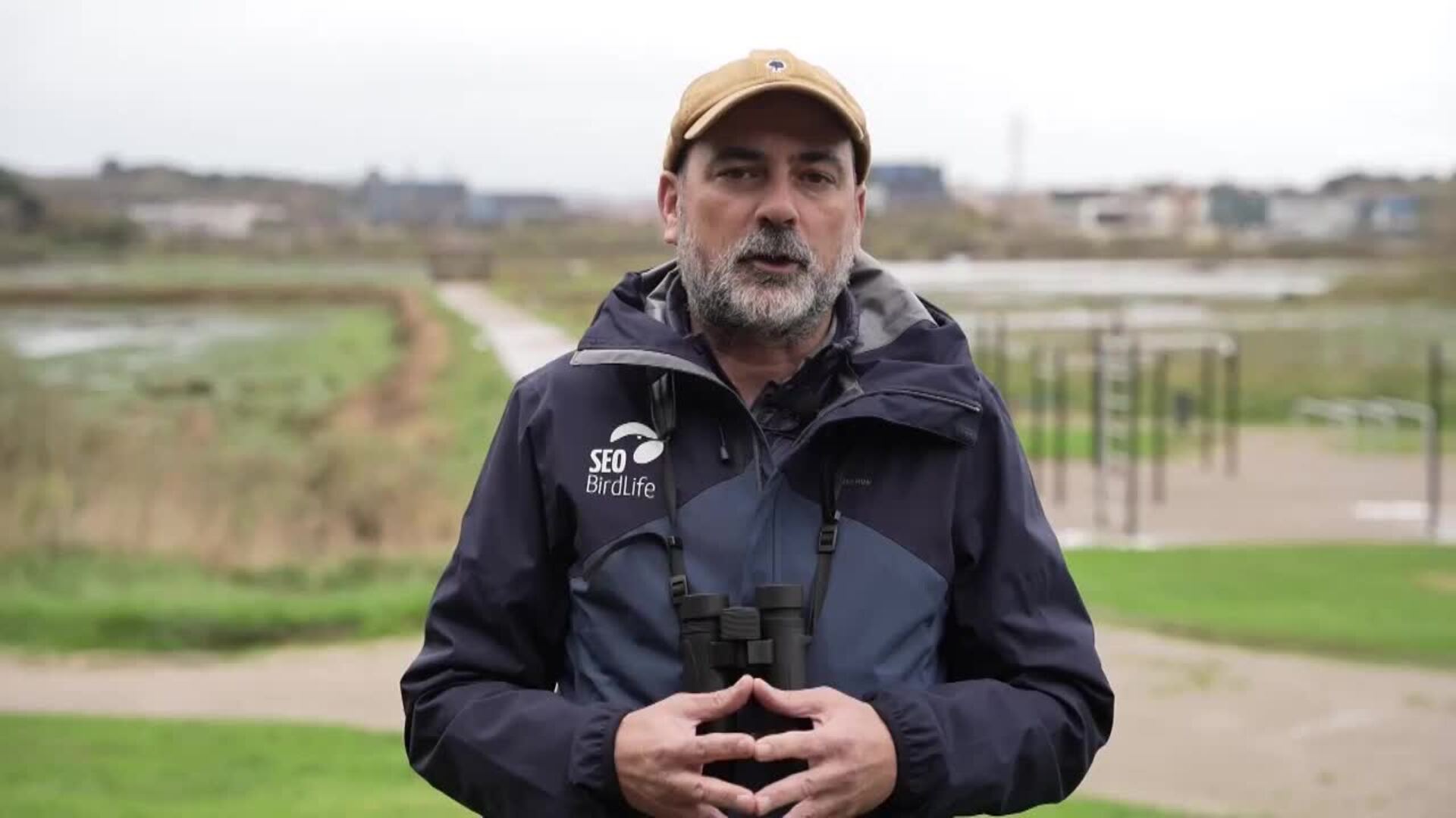 Unas 30.000 aves electrocutadas en miles de kilómetros de líneas eléctricas para mejorar