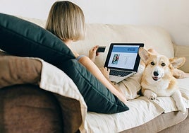 El futuro del cuidado animal