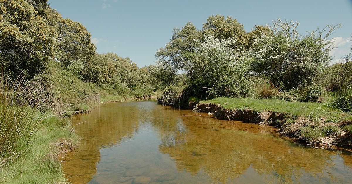 Nestlé Waters impulsa la regeneración del agua y la biodiversidad en España