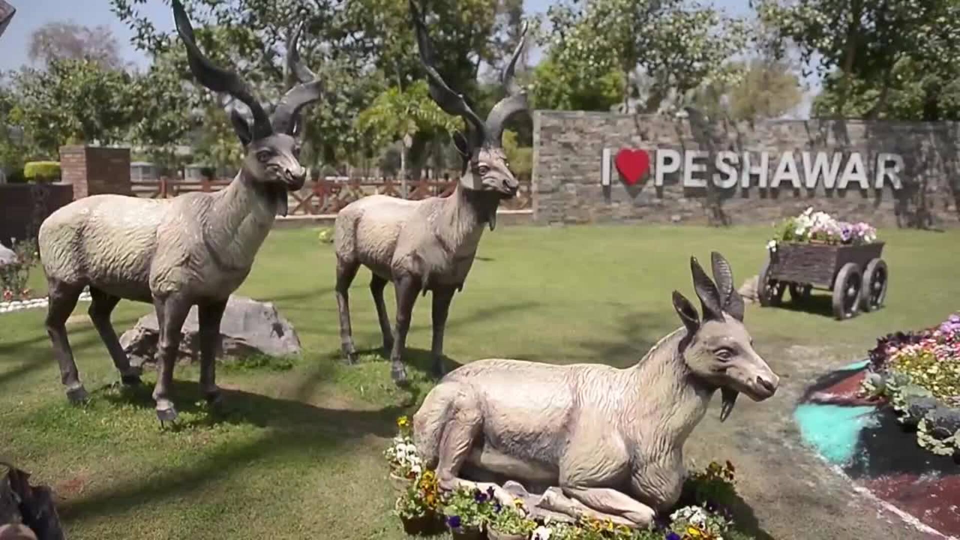 Peshawar embellece sus jardines en la víspera del Día de la Tierra