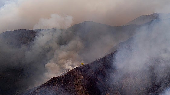 Greenpeace reclama una nueva política forestal contra los incendios