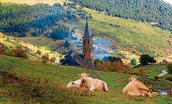 La defensa olvidada del Pirineo camina a cuatro patas para protegerlo del fuego