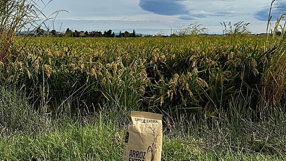 El arroz que nace de una cápsula de café