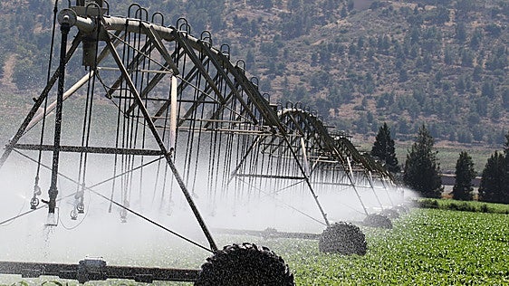 El agua ya decide dónde crecen las empresas
