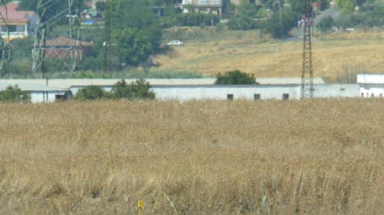 Bomberos de Córdoba, en jaque por cuatro incendios de pastos consecutivos