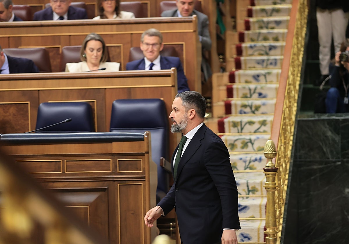 El presidente de Vox, Santiago Abascal, en el hemiciclo del Congreso