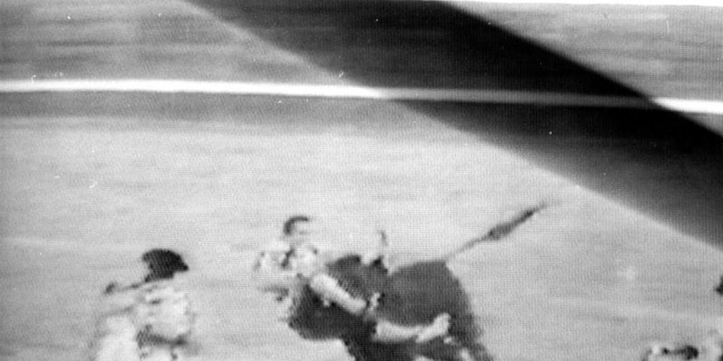 パキリ氏の尊厳ある死