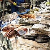 El pescado rico en omega-3 que debes comer según la Universidad de Harvard para cuidar tu salud cardiovascular