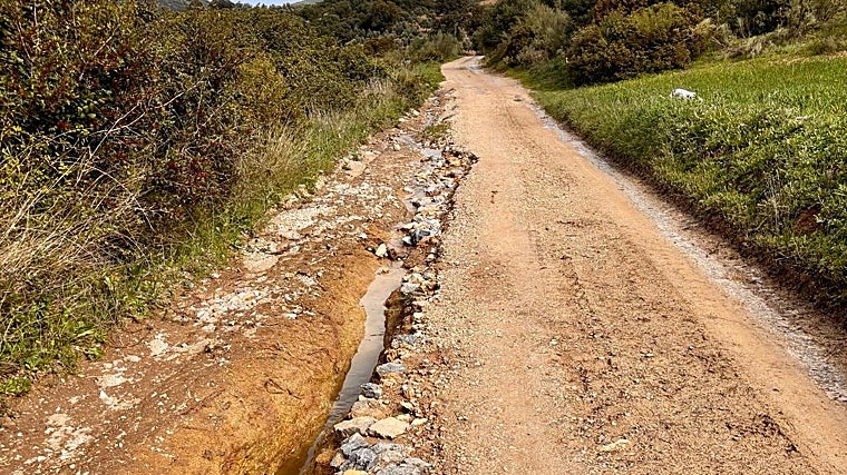 Estado en el que se encuentra el camino que conecta las explotaciones ganaderas y agrícolas y al pantano
