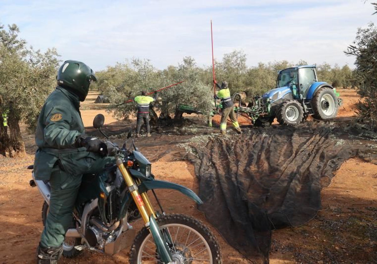 Equipos roca durante una operación contra los robos en el campo en Córdoba