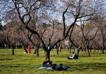 Pasea en la capital: cómo apuntarse a las visitas guiadas gratuitas
