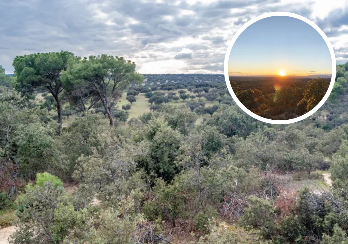 De Madrid al cielo: el mejor lugar para ver el atardecer está a 10 minutos del centro