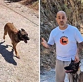 Un experto en conducta canina explica por qué no deberías soltar a tu perro en espacios compartidos «aunque no haga nada»