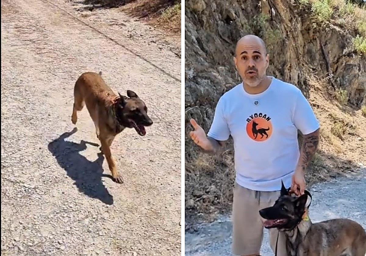 Un experto en conducta canina explica por qué no deberías soltar a tu perro en espacios compartidos «aunque no haga nada»