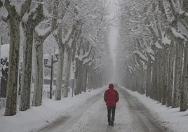 Jorge Rey pone fecha a la llegada del frío y las primeras nevadas: «Habrá mínimas por debajo de los cero grados»