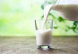 Las seis razones del doctor Manuel Viso para elegir leche entera y no desnatada: «Puede salir caro en términos nutricionales»