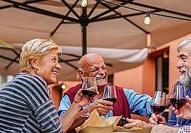 Manuel J. Castillo, médico especialista en longevidad: «Un vino con amigos alarga la vida»