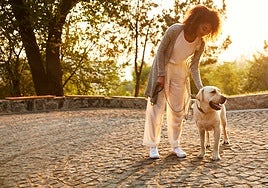 Así afecta el buen tiempo a tu mascota: cuidados y peligros que debes vigilar con el aumento de temperaturas